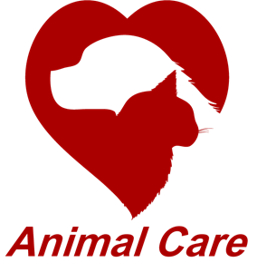 logo4